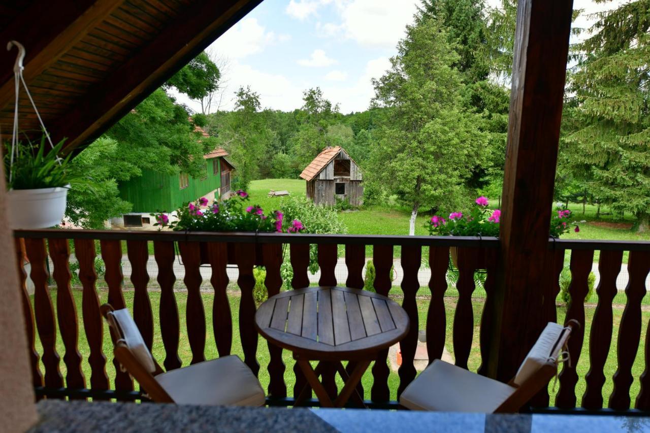 Apartman Jelena Rakovica Exterior photo