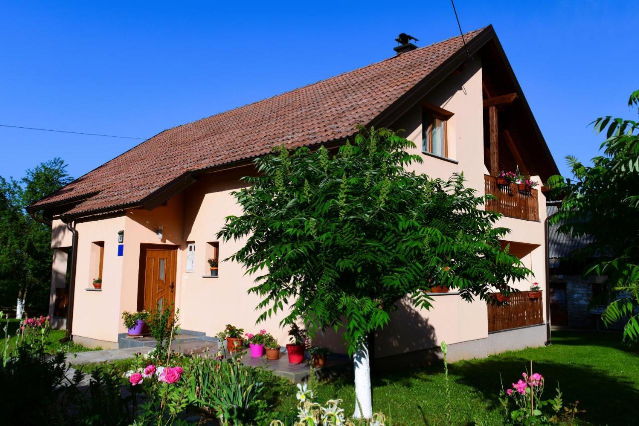 Apartman Jelena Rakovica Exterior photo